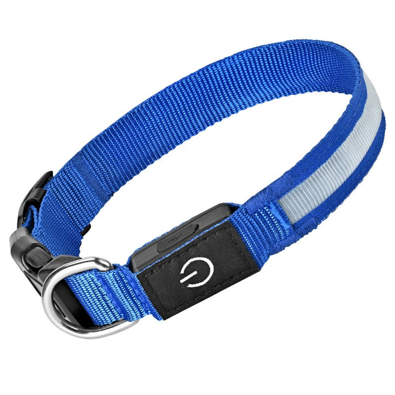collier lumineux chien | LED