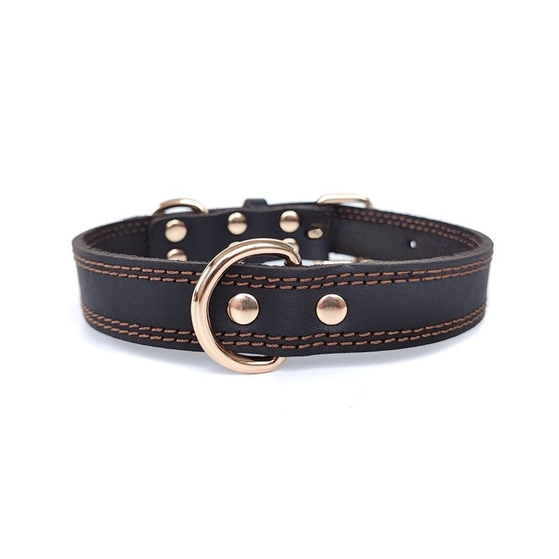 colliers cuir pour chiens | Luxueux