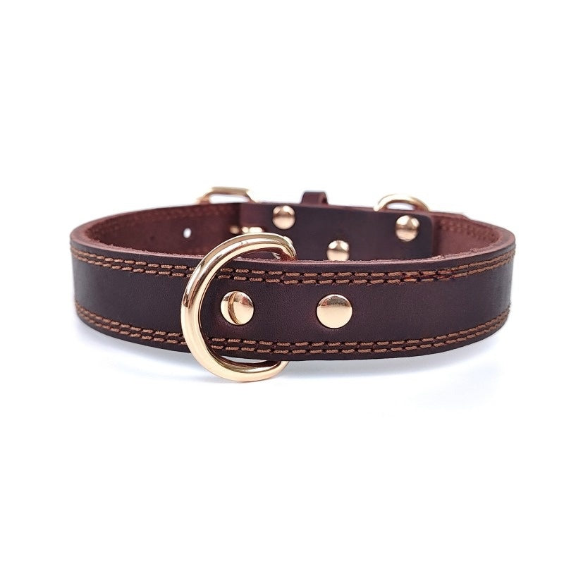 colliers cuir pour chiens | Luxueux