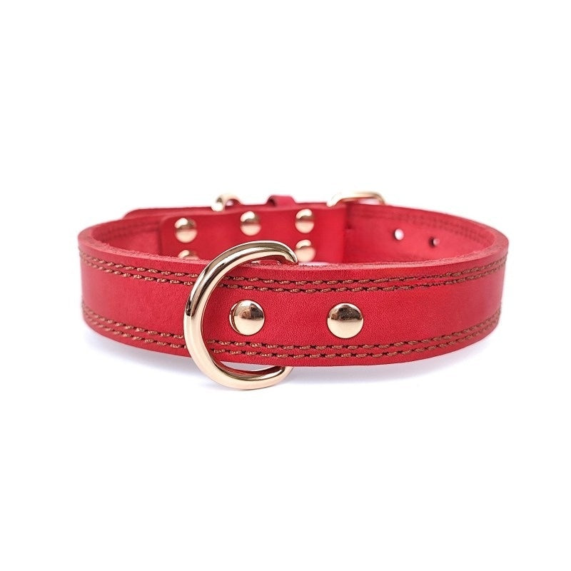 colliers cuir pour chiens | Luxueux