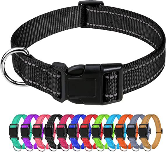 collier a chien | Réfléchissant