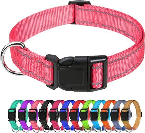 collier a chien | Réfléchissant