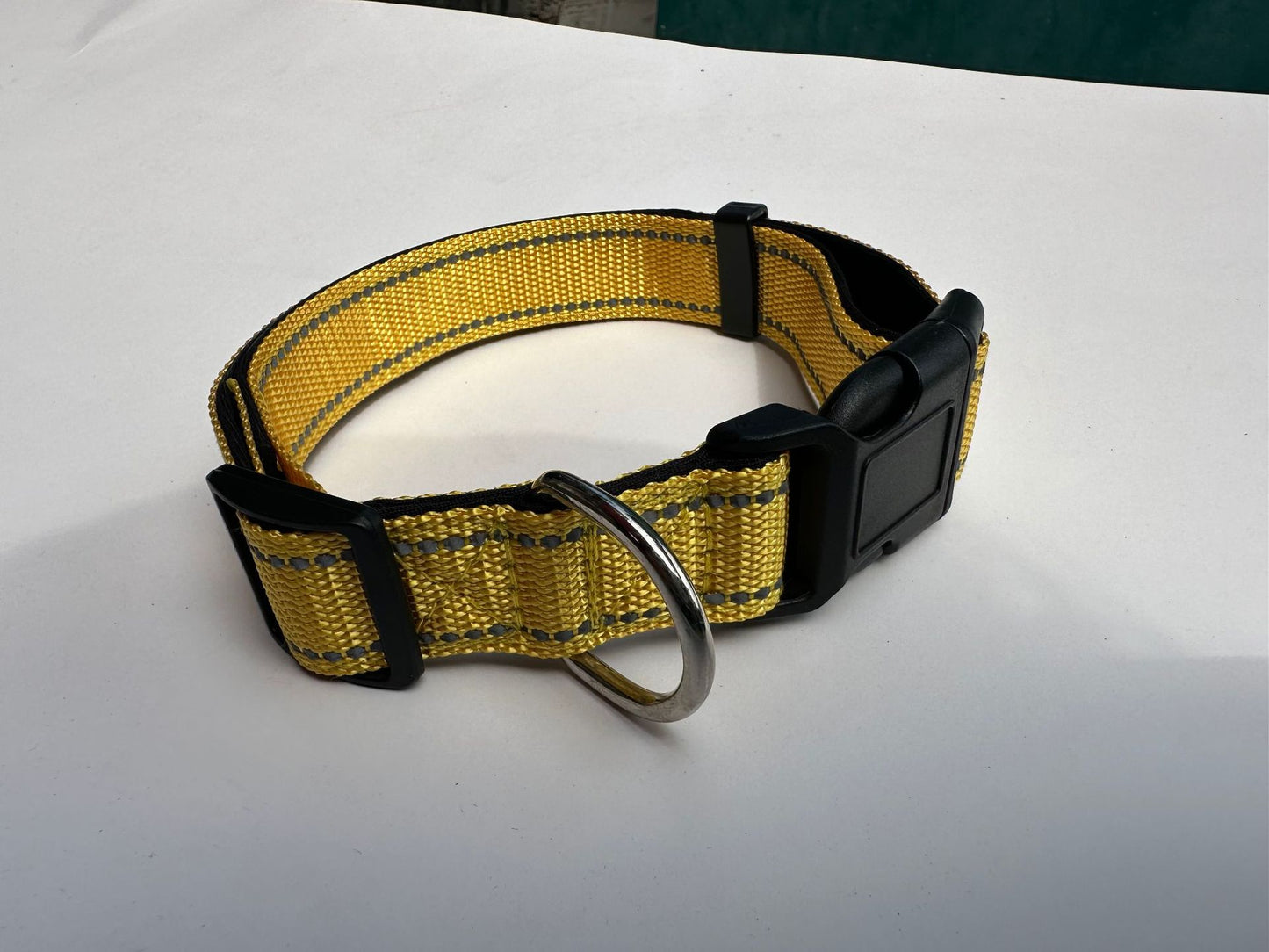 collier a chien | Réfléchissant