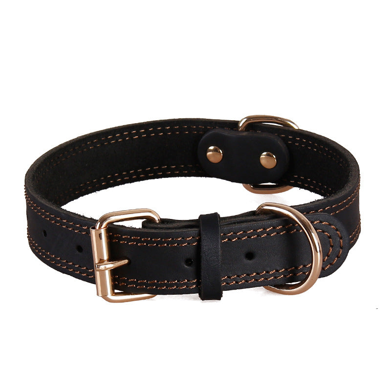 collier cuir pour chien | Luxe