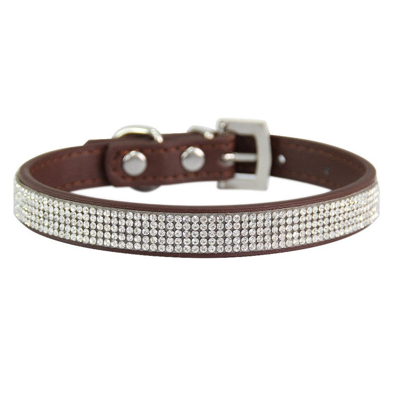collier chien | Couleur-BONBON