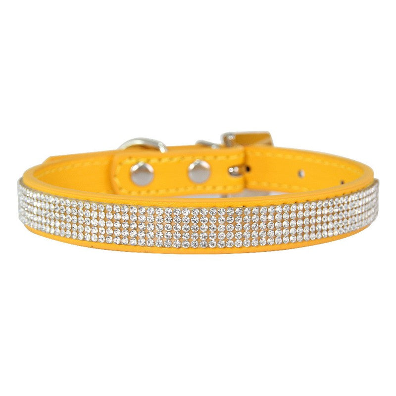 collier chien | Couleur-BONBON