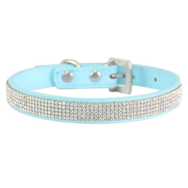 collier chien | Couleur-BONBON