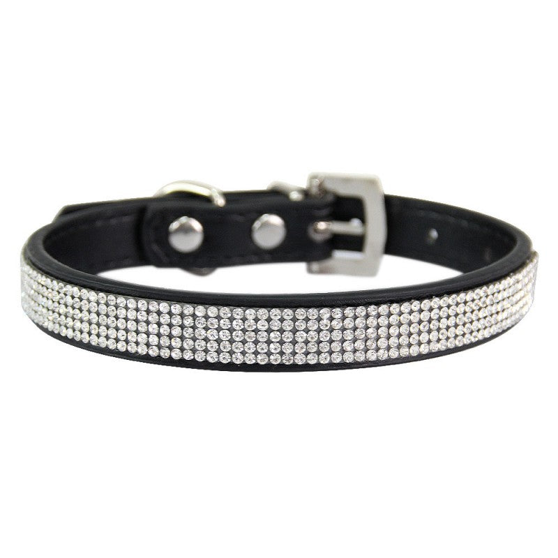 collier chien | Couleur-BONBON