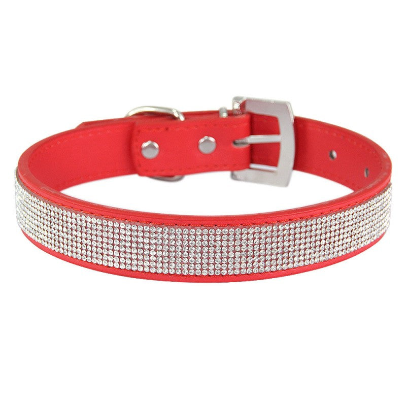 collier chien | Couleur-BONBON