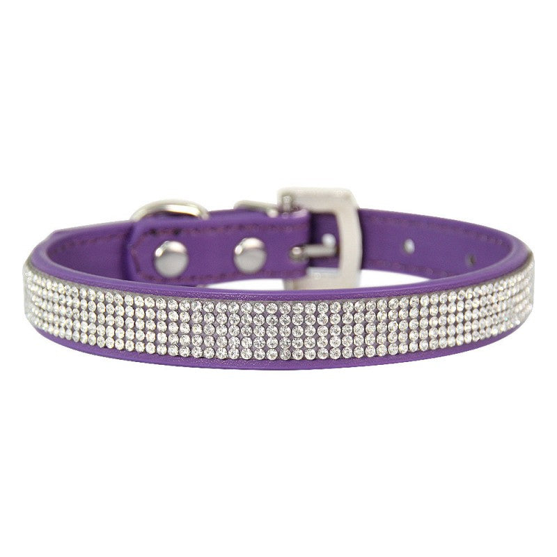 collier chien | Couleur-BONBON