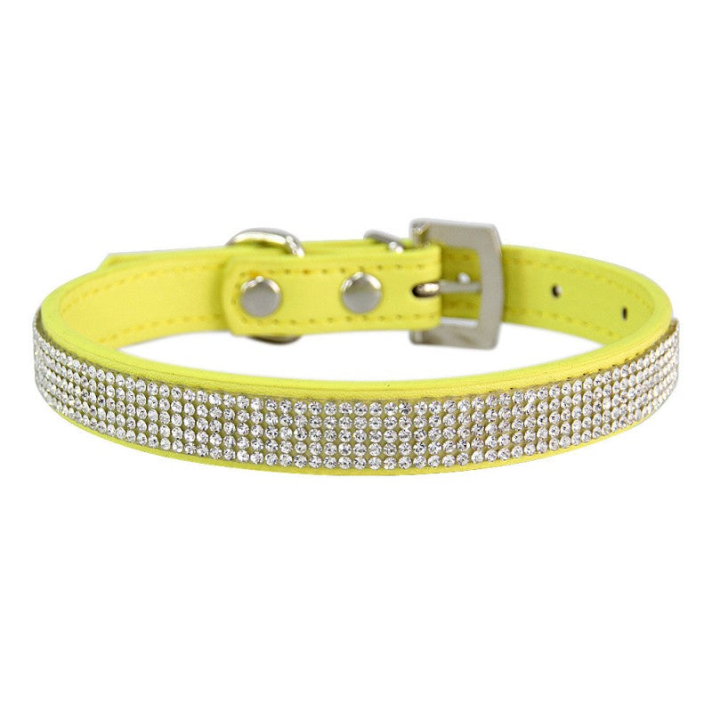 collier chien | Couleur-BONBON