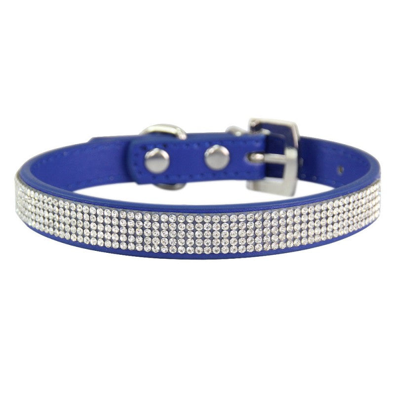 collier chien | Couleur-BONBON