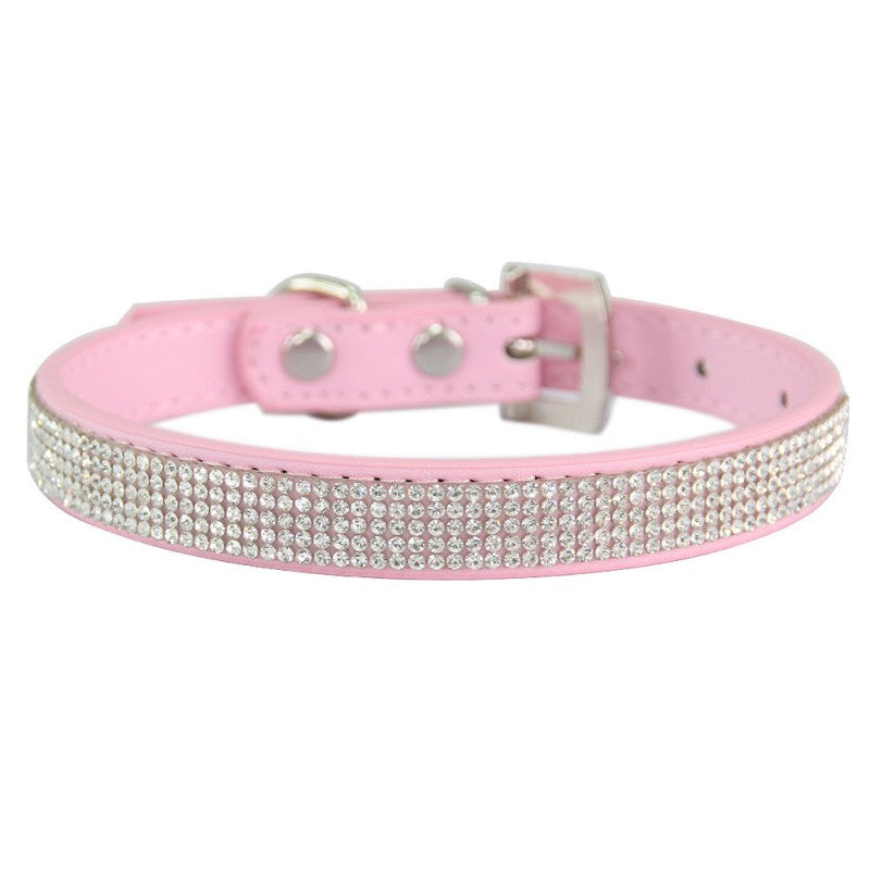 collier chien | Couleur-BONBON