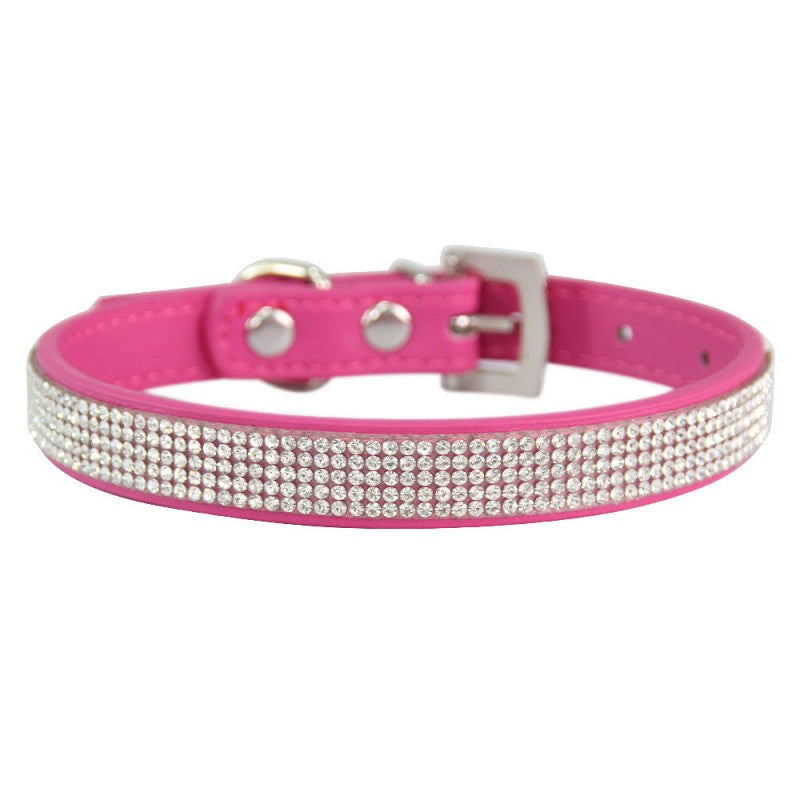 collier chien | Couleur-BONBON