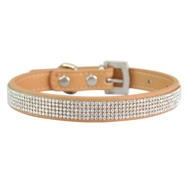 collier chien | Couleur-BONBON