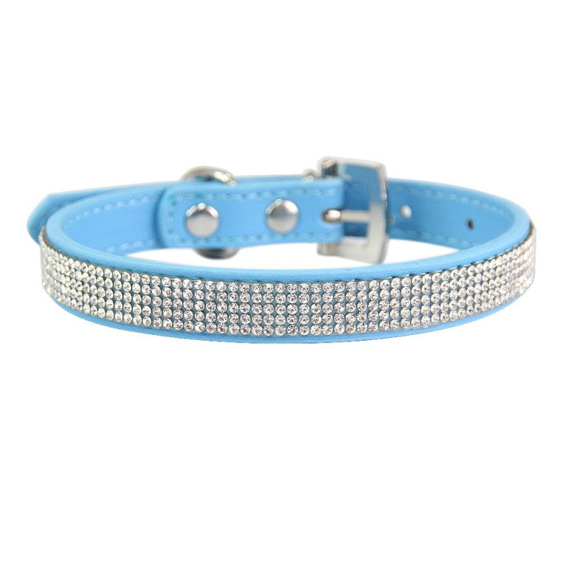 collier chien | Couleur-BONBON