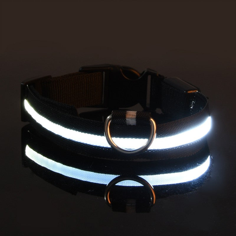 Chien collier lumineux | Fashion
