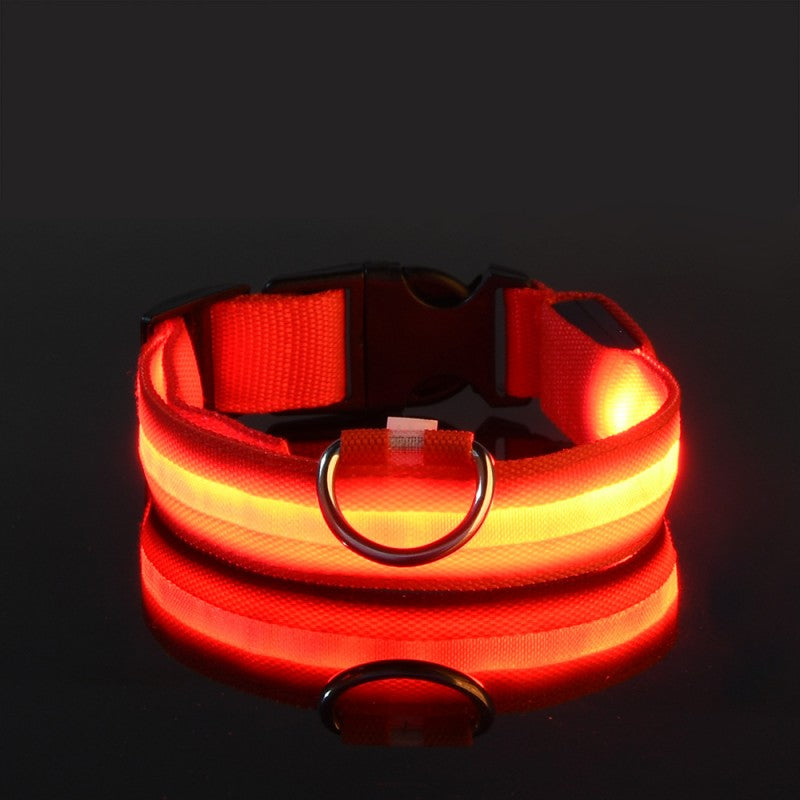 Chien collier lumineux | Fashion