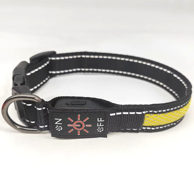 collier lumineux chien | IPX7