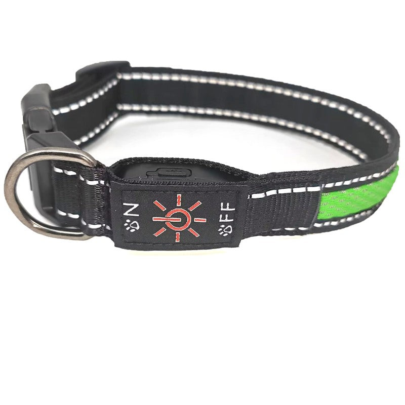 collier lumineux chien | IPX7