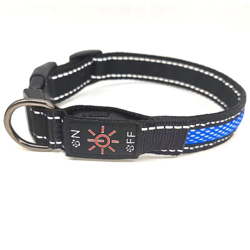 collier lumineux chien | IPX7