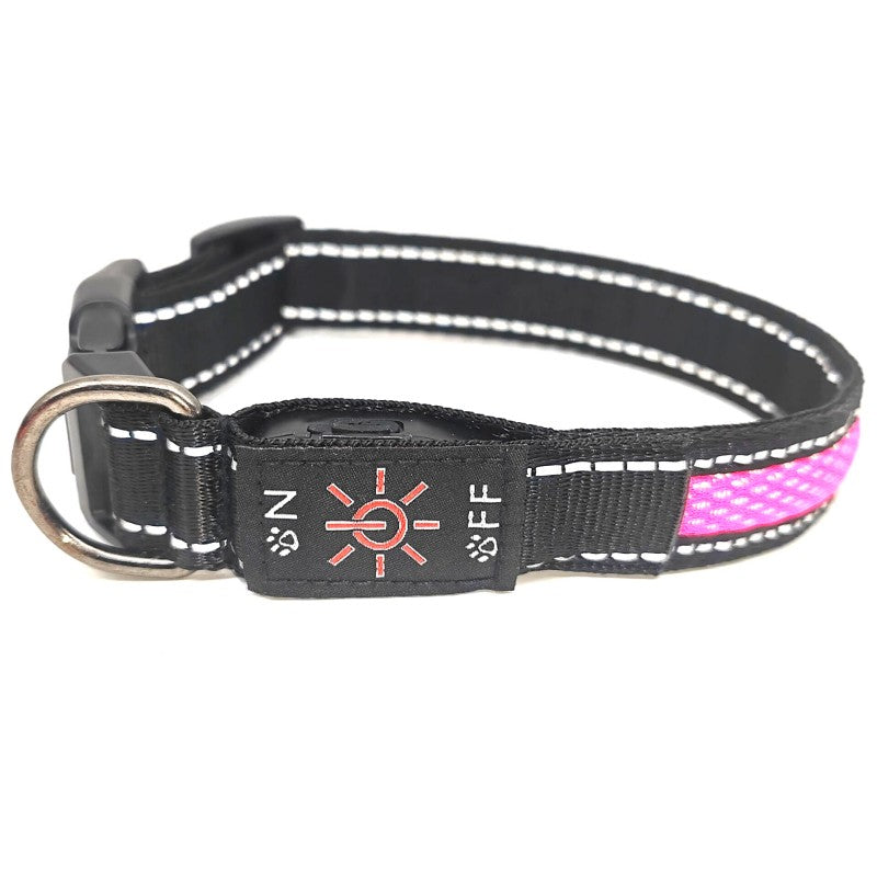 collier lumineux chien | IPX7