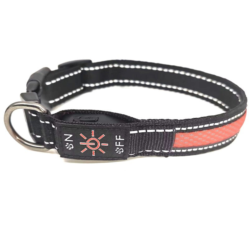 collier lumineux chien | IPX7