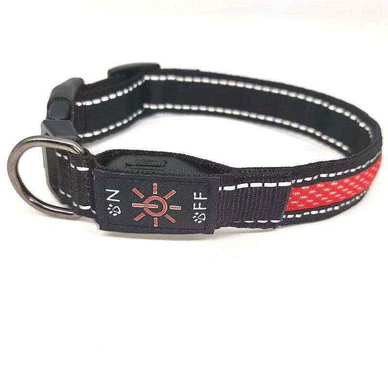 collier lumineux chien | IPX7