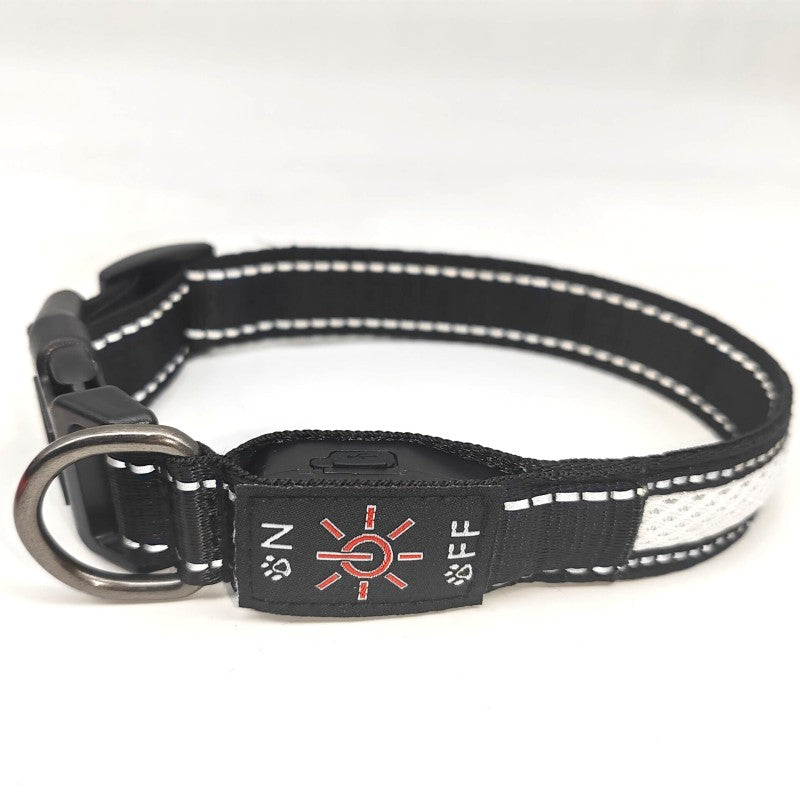 collier lumineux chien | IPX7