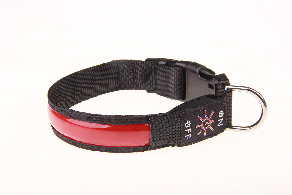 Collier chien Lumineux | LED