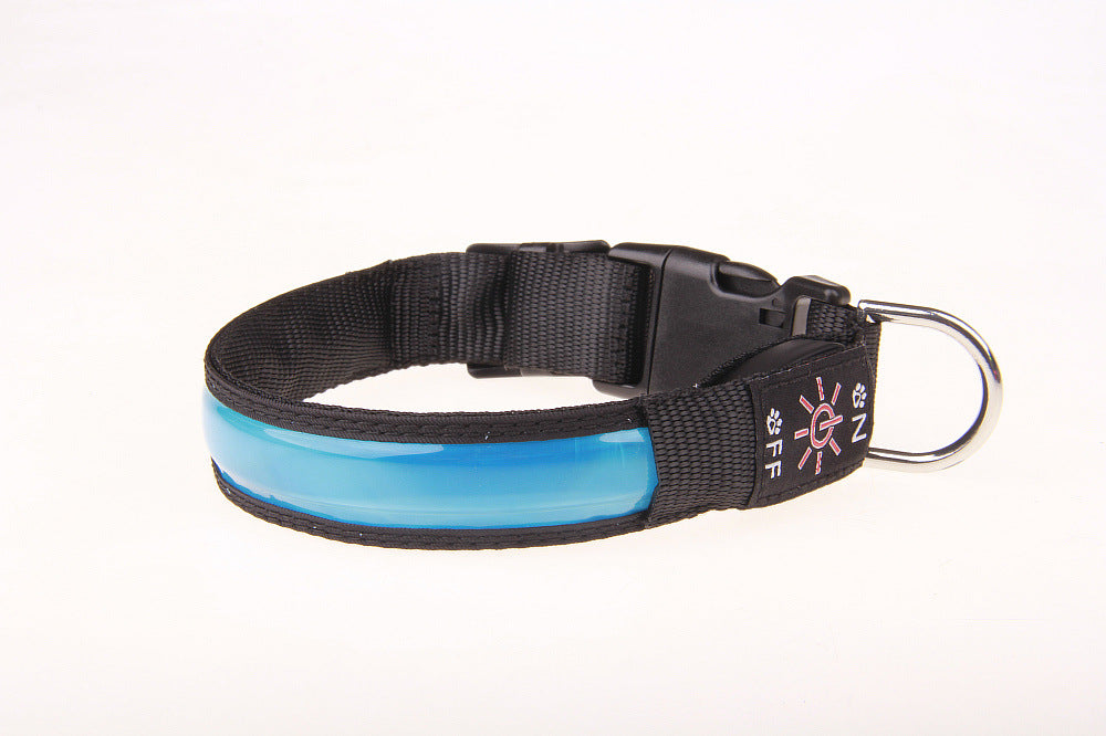Collier chien Lumineux | LED