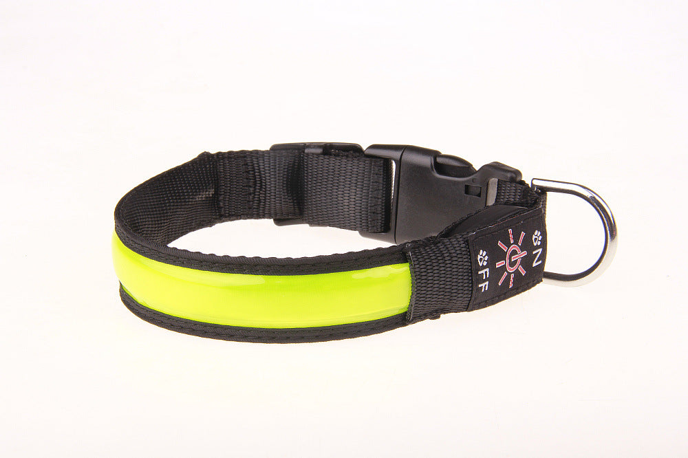 Collier chien Lumineux | LED