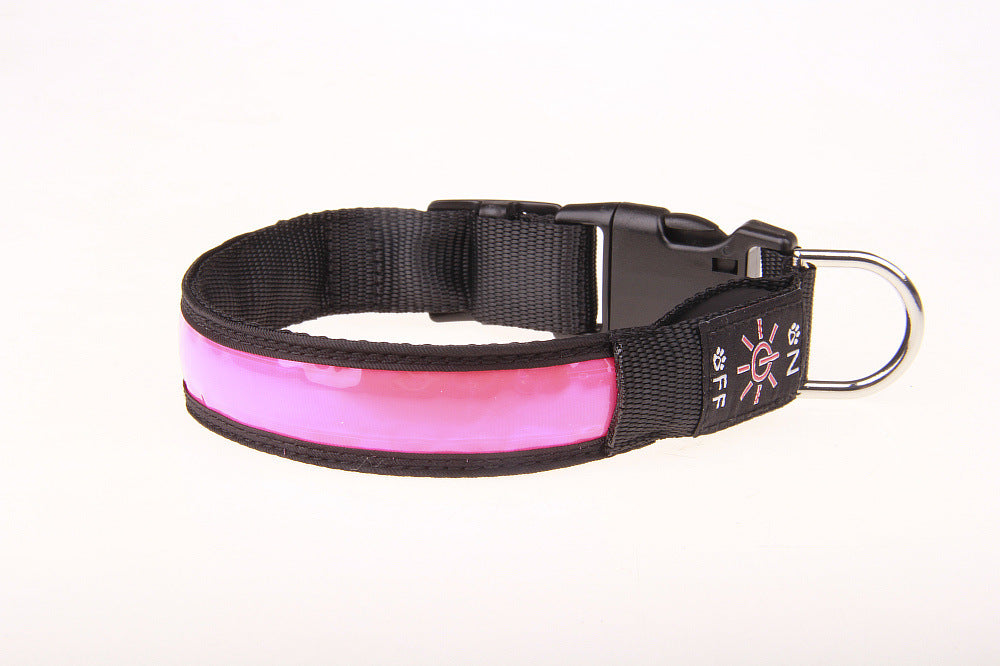 Collier chien Lumineux | LED