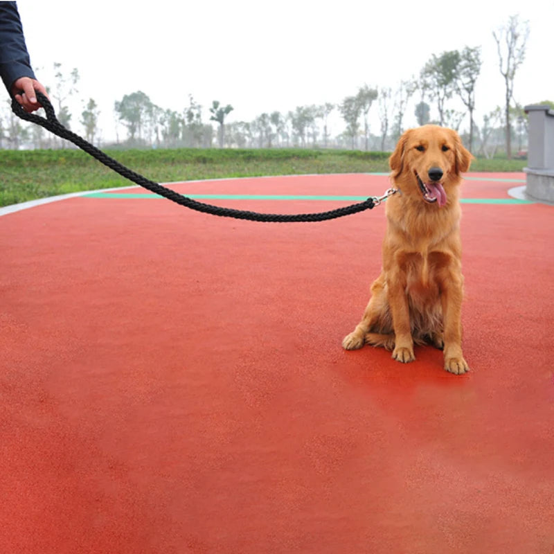Laisse pour chien - nylon