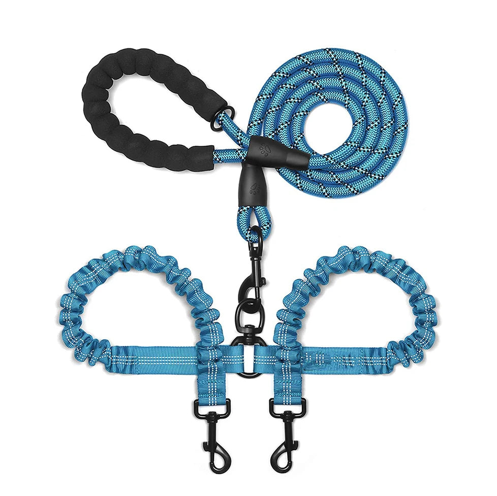 Laisse Chien - Double