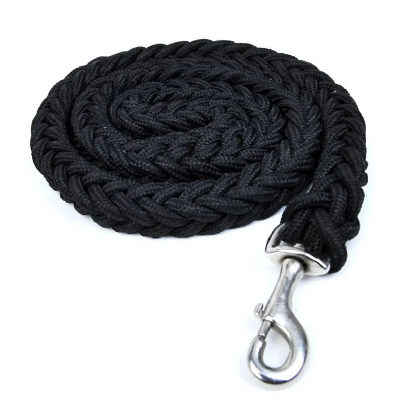 Laisse pour chien - nylon
