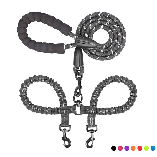 Laisse Chien - Double