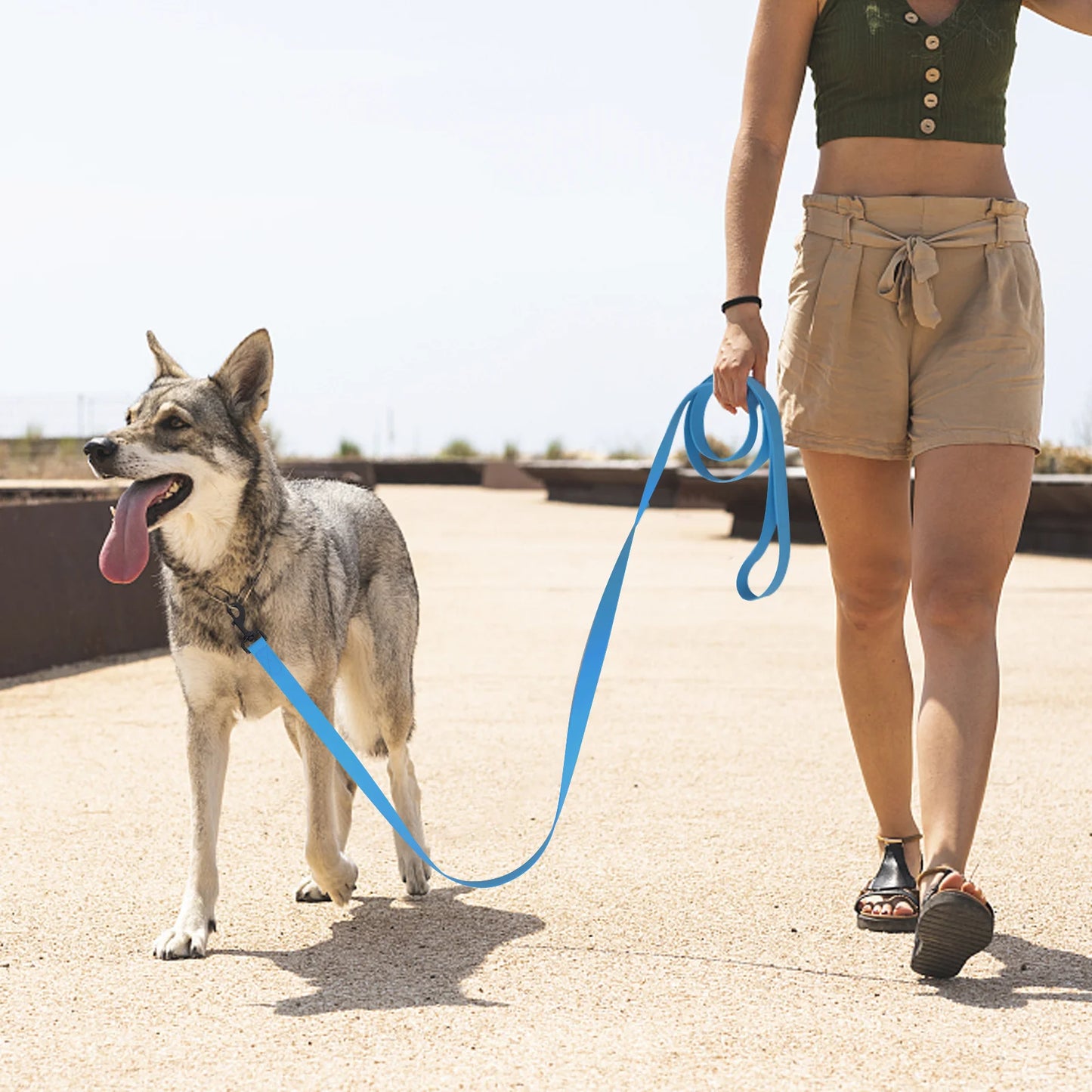 Laisse pour chien - PVC