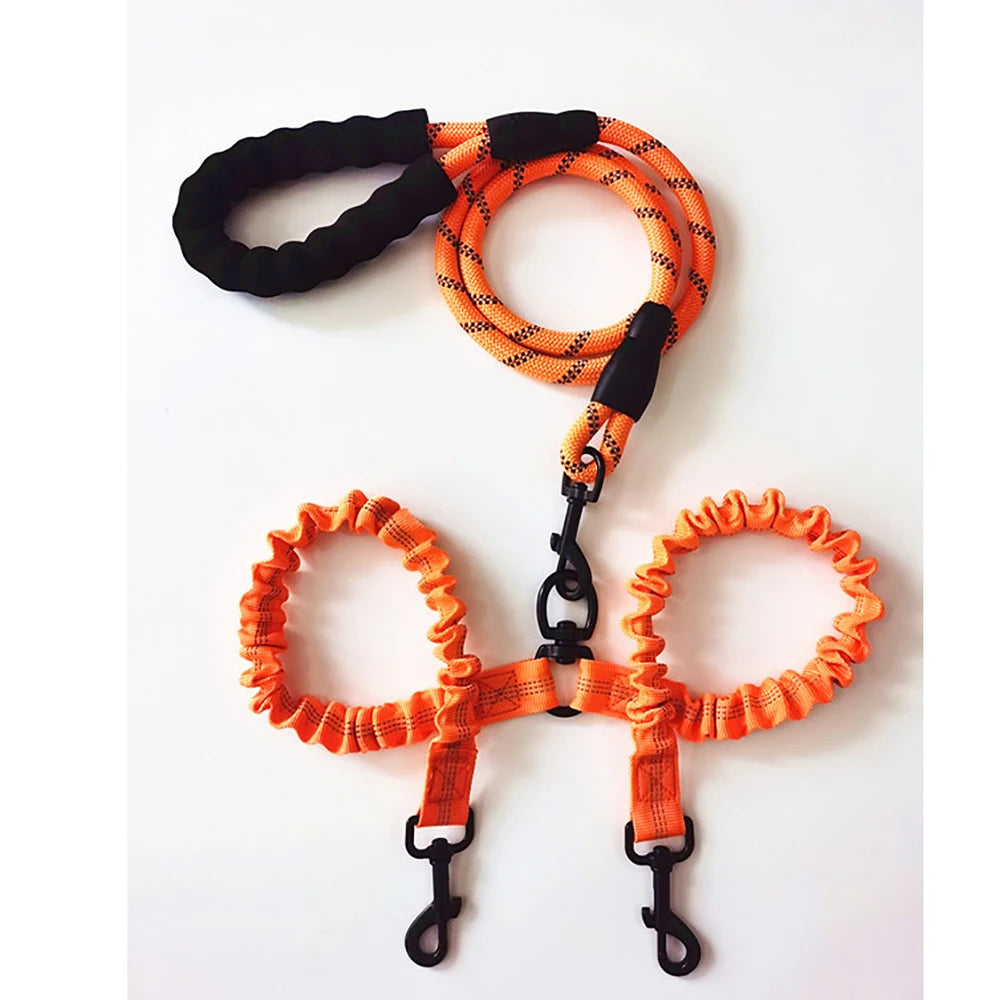 Laisse Chien - Double