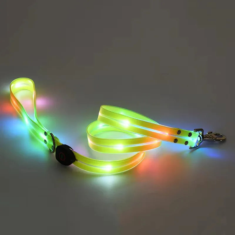 Laisse chien - LED