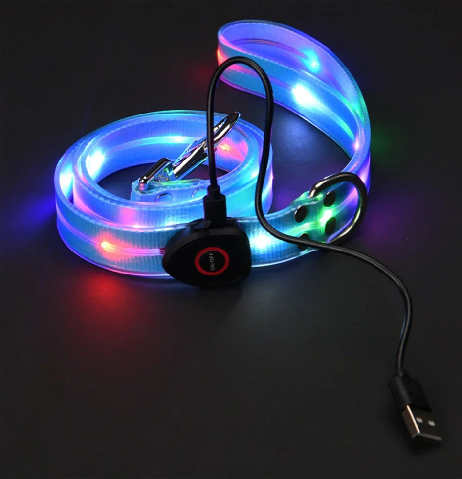 Laisse chien - LED