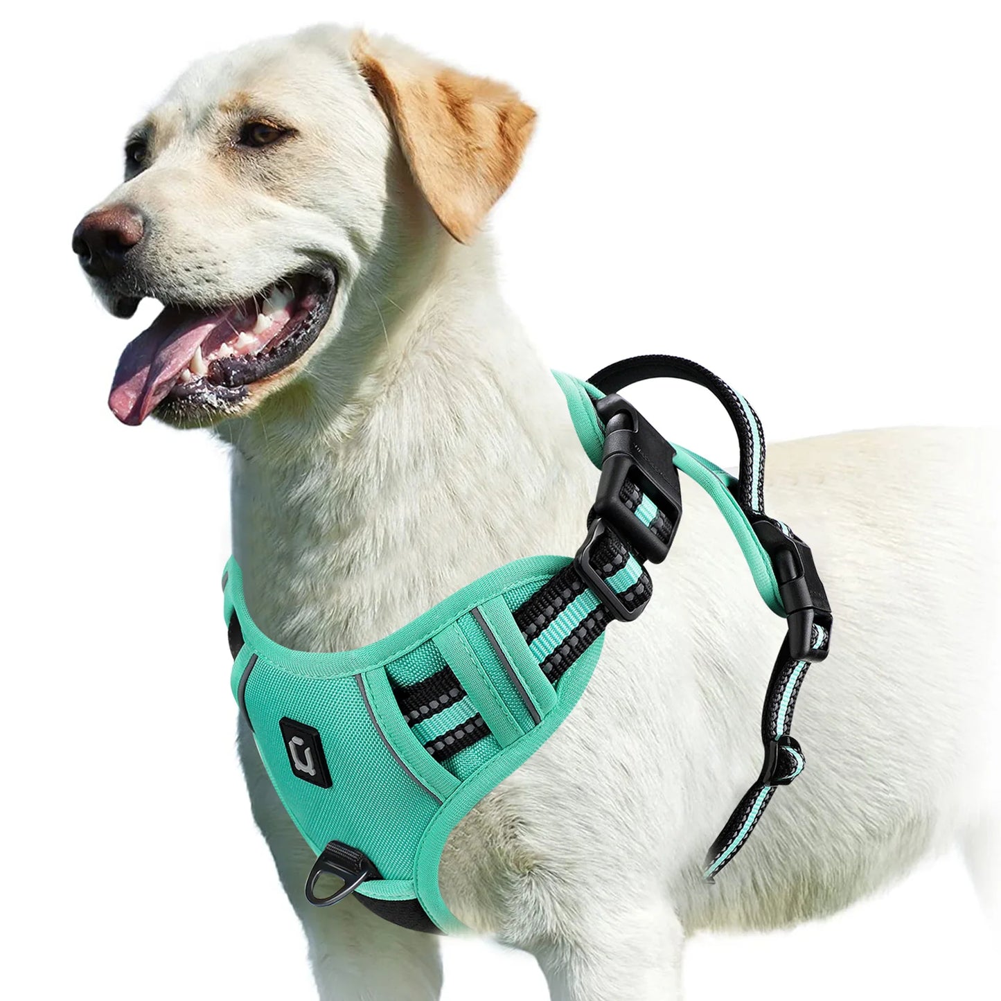 Harnais chien anti traction - Rembourré