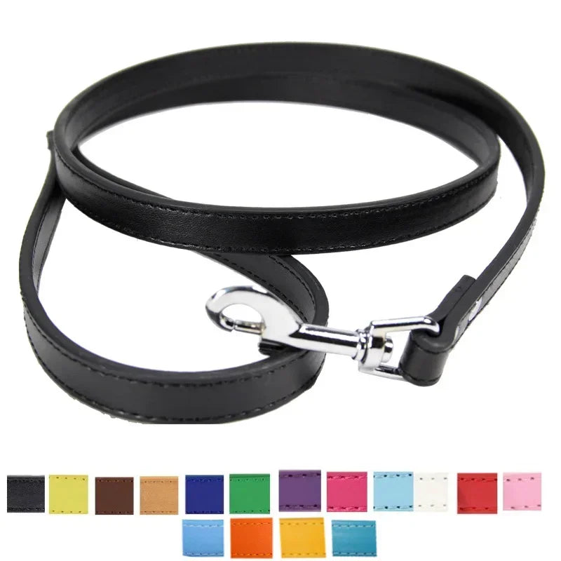 Laisse pour chien - Cuir