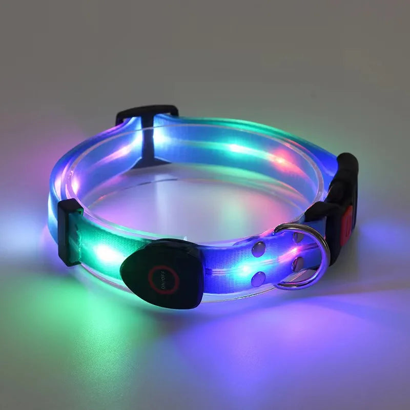 Laisse chien - LED
