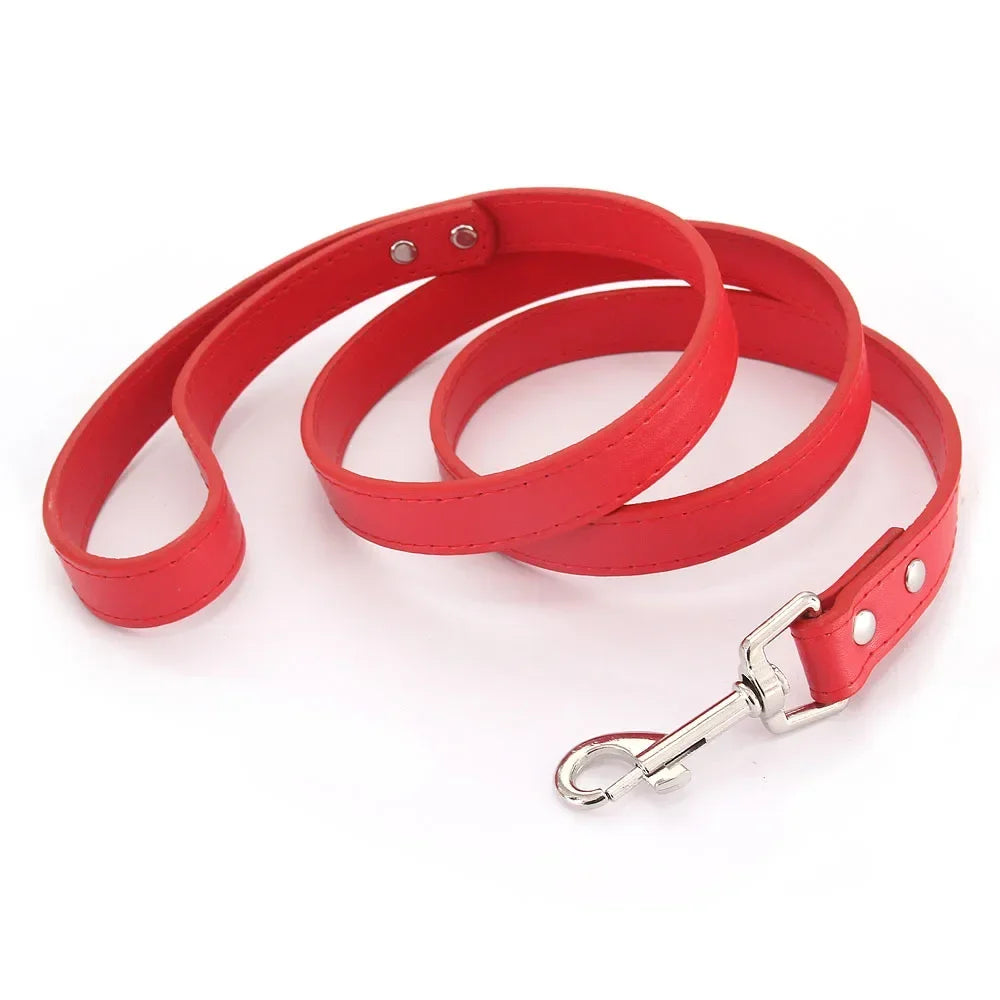 Laisse pour chien - Cuir