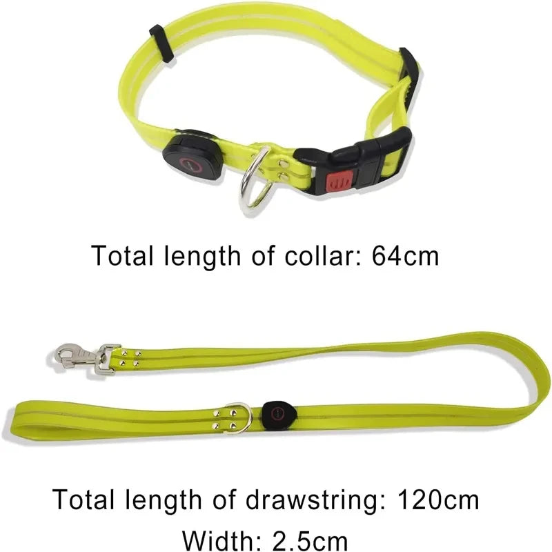 Laisse chien - LED