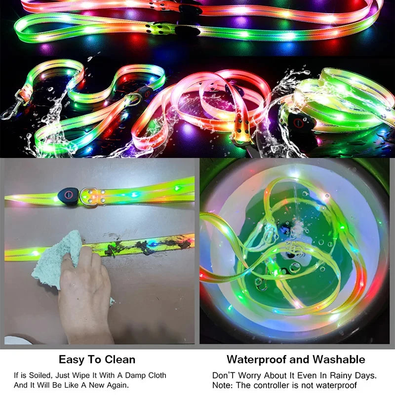 Laisse chien - LED
