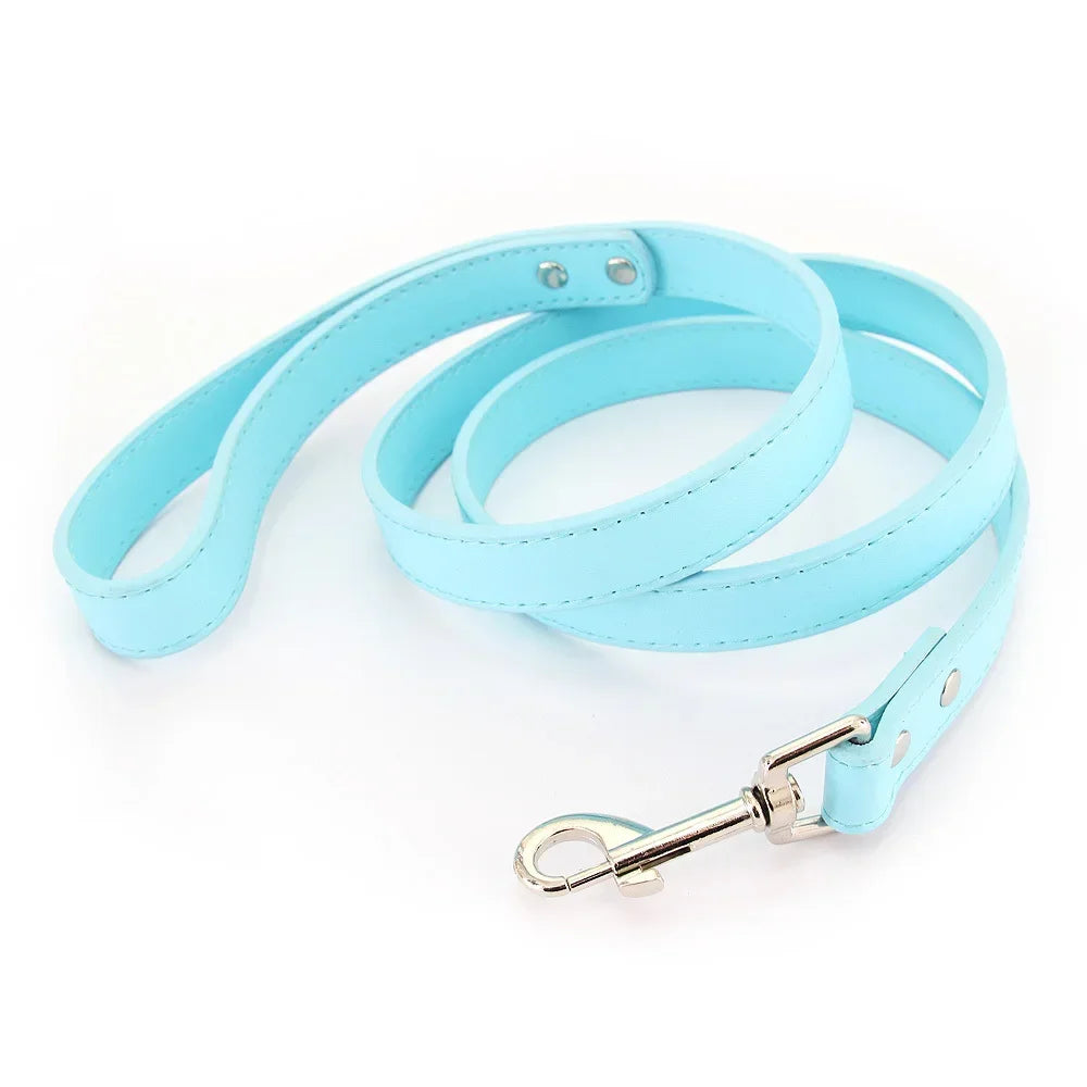 Laisse pour chien - Cuir