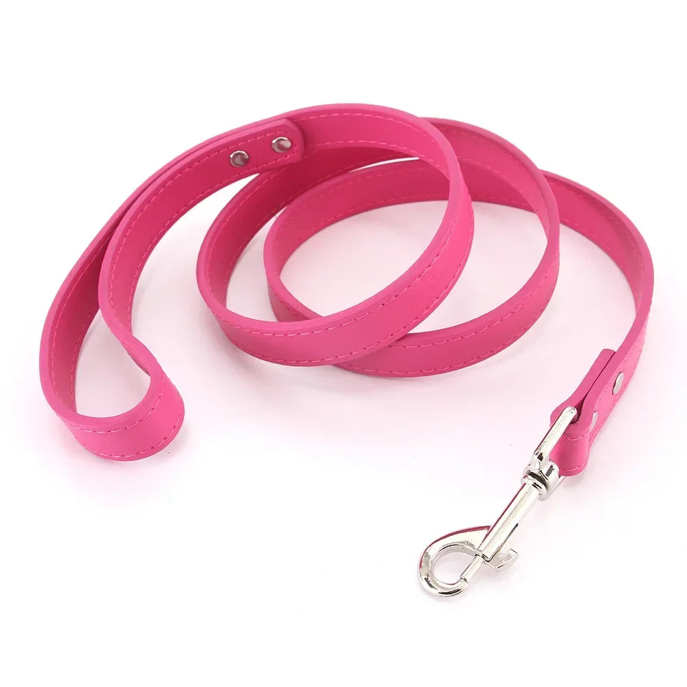 Laisse pour chien - Cuir