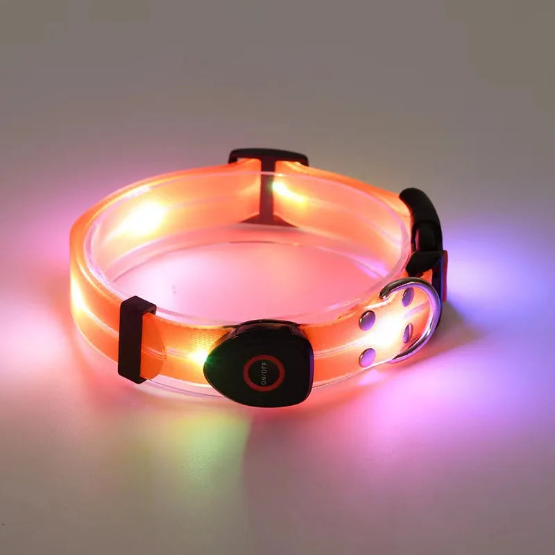Laisse chien - LED